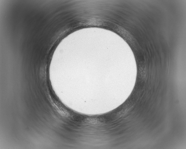 X0000072520534200608111723