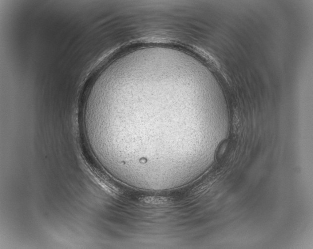 X0000072520535200608111723