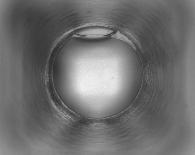 X0000072520536200608111723