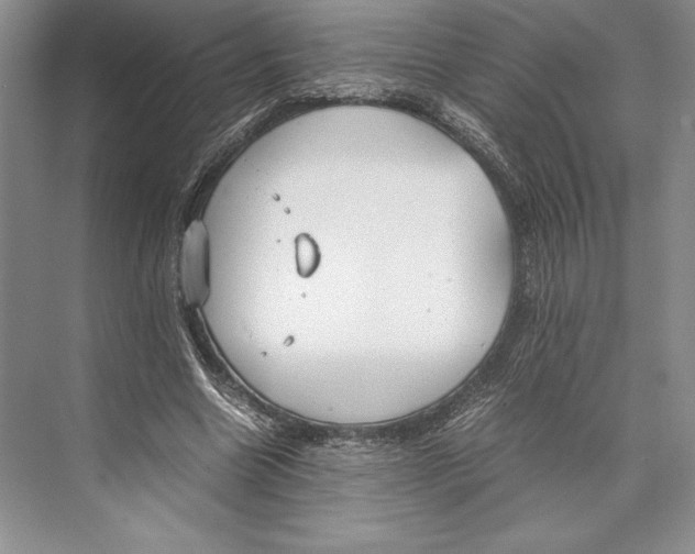 X0000072520538200608111723