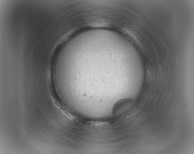 X0000072520539200608111723