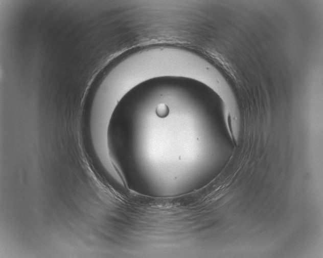 X0000072520540200608111723