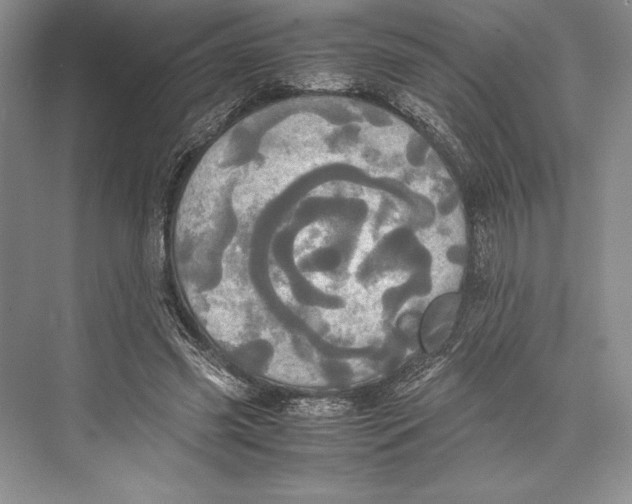 X0000072520541200608111723