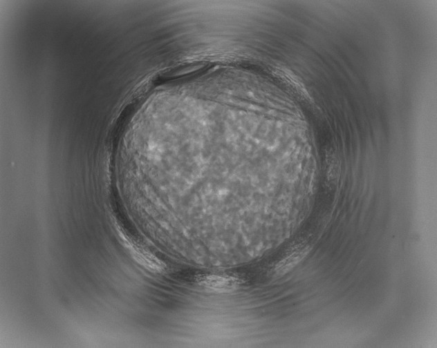 X0000072520542200608111723