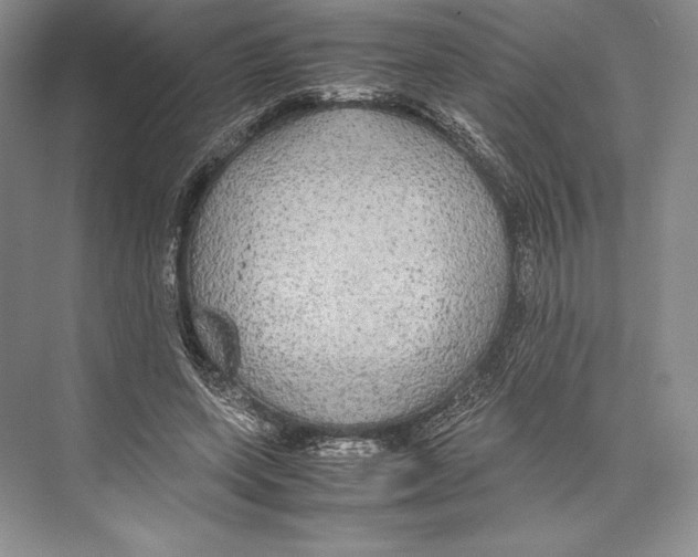 X0000072520543200608111723