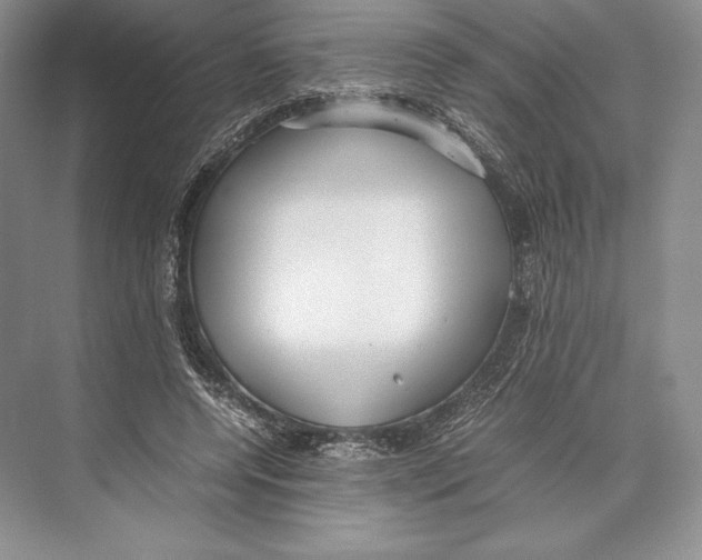 X0000072520544200608111723