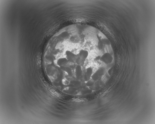 X0000072520545200608111723