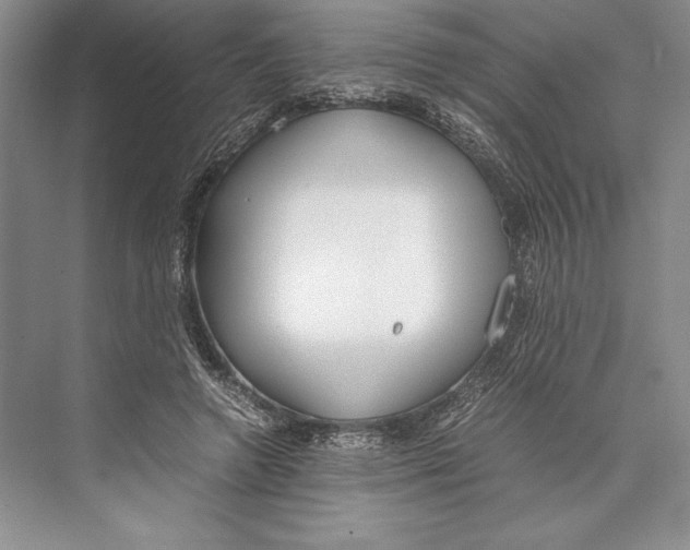 X0000072520546200608111723