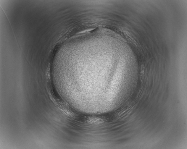 X0000072520547200608111723