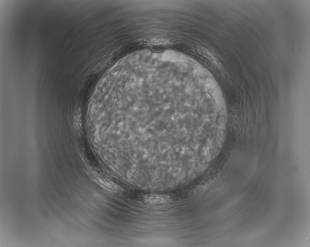 X0000072520549200608111723