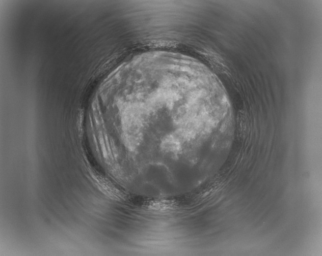 X0000072520550200608111723