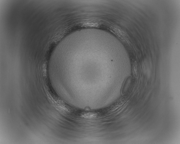 X0000072520551200608111723