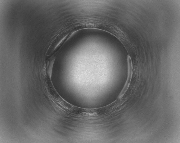 X0000072520552200608111723