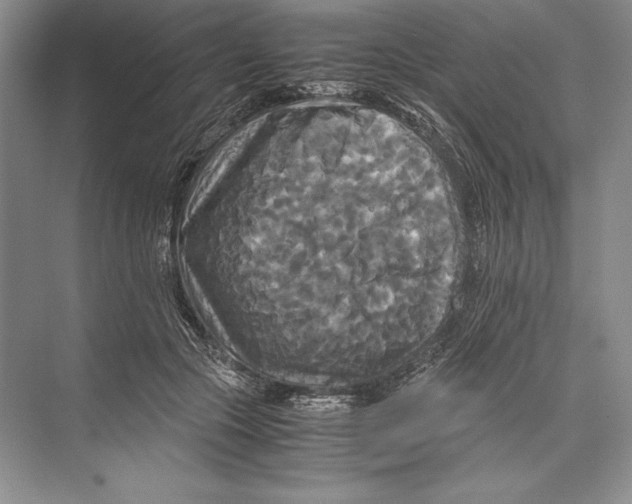 X0000072520553200608111723