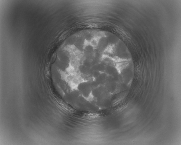 X0000072520554200608111723