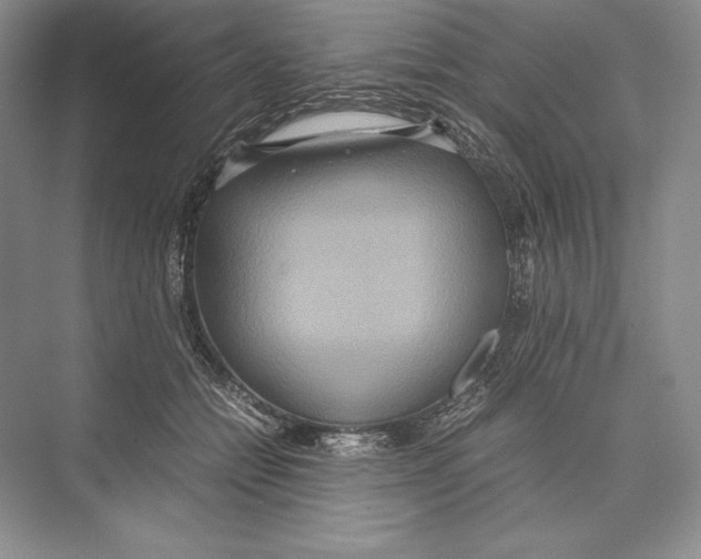 X0000072520558200608111723