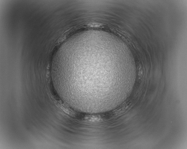 X0000072520559200608111723