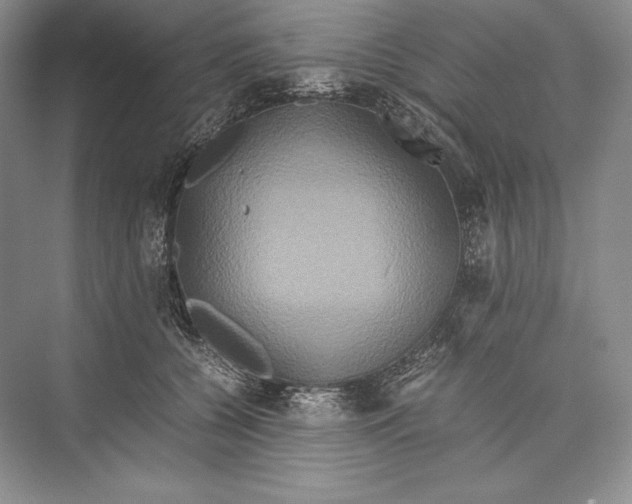 X0000072520560200608111723