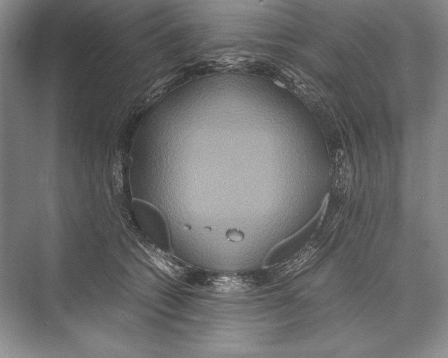 X0000072520562200608111723