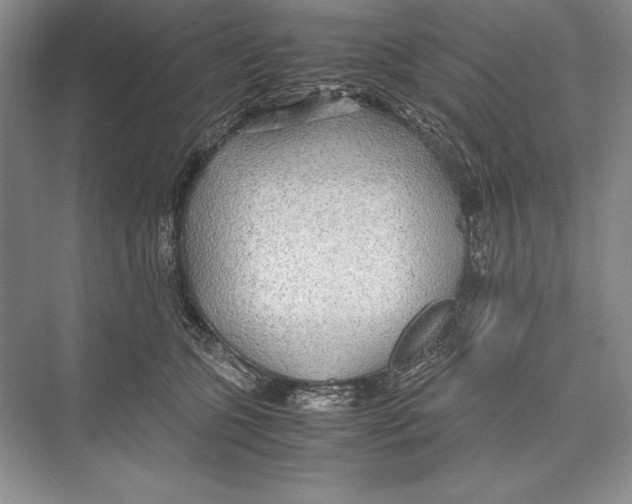 X0000072520563200608111723