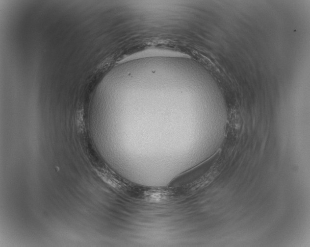 X0000072520564200608111723