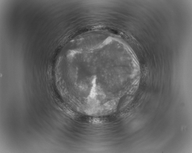 X0000072520565200608111723