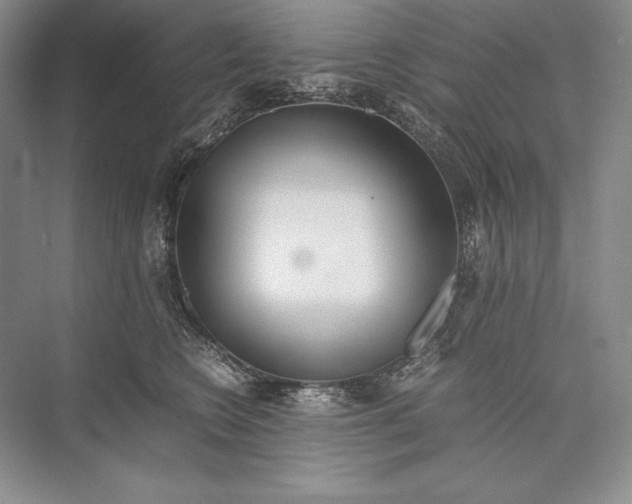 X0000072520566200608111723