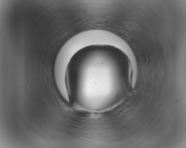 X0000072520570200608111723