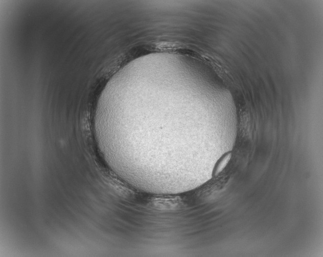 X0000072520571200608111723