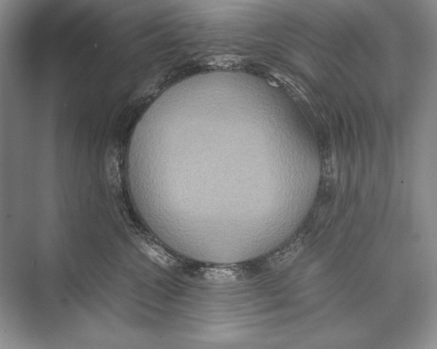 X0000072520572200608111723