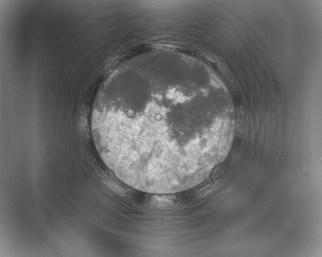 X0000072520573200608111723