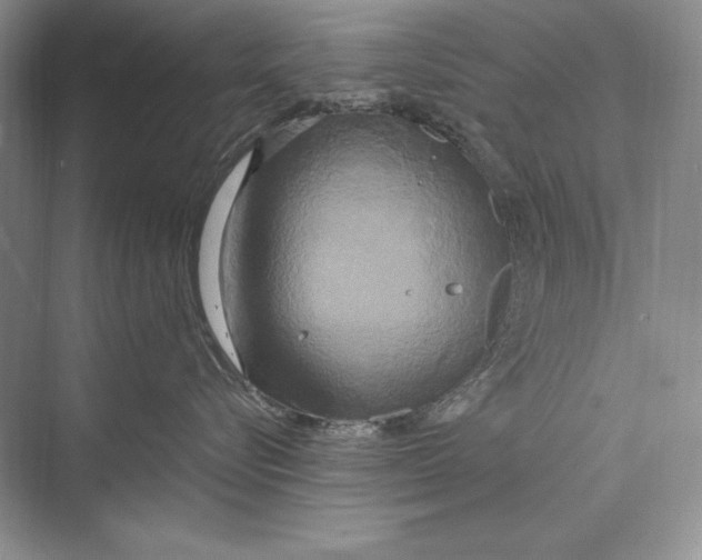 X0000072520576200608111723