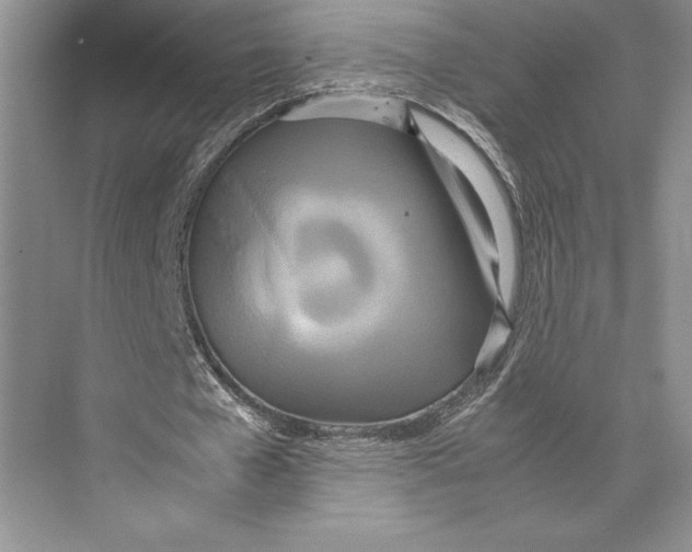 X0000072520577200608111722