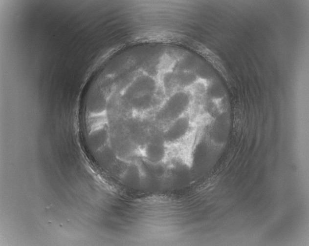 X0000072520578200608111722