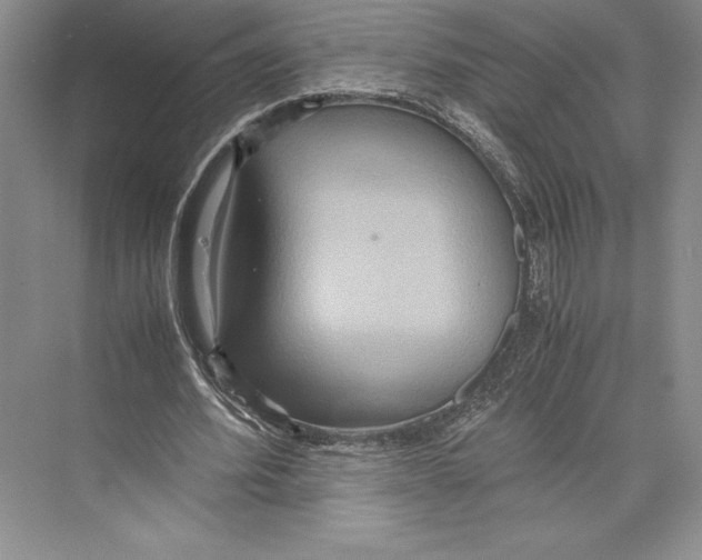 X0000072520580200608111722