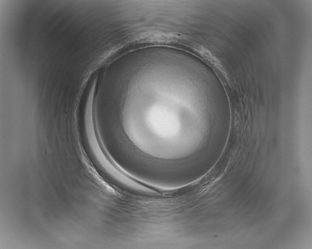 X0000072520581200608111722