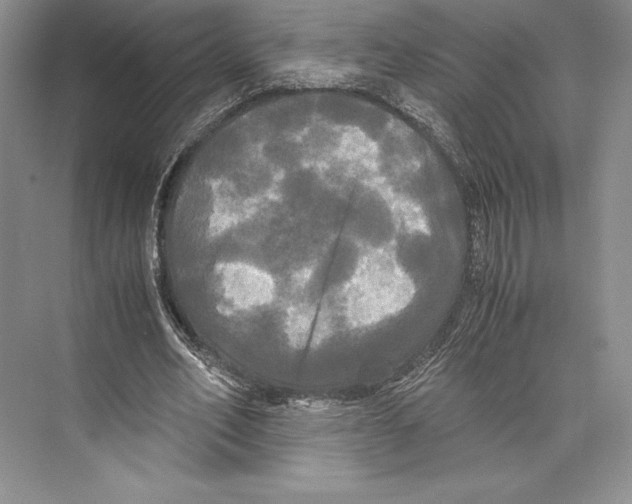 X0000072520582200608111722