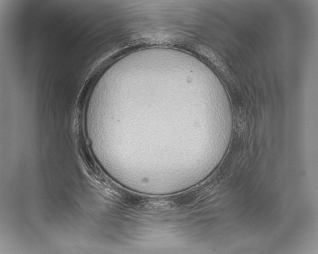 X0000072520583200608111722