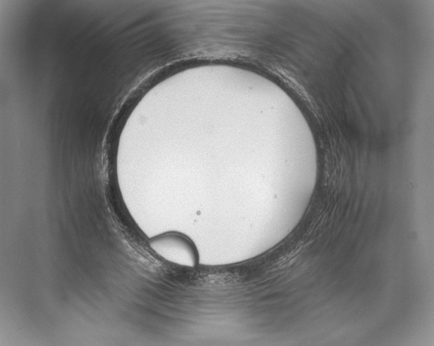 X0000072520584200608111722