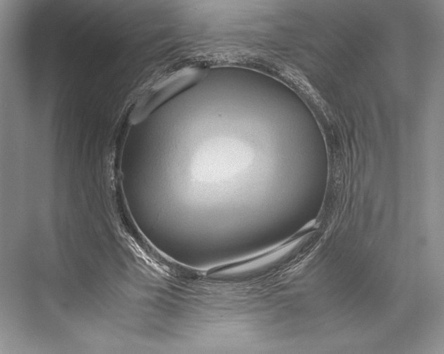 X0000072520585200608111722