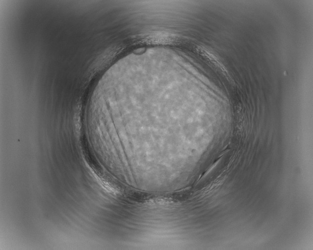 X0000072520586200608111722