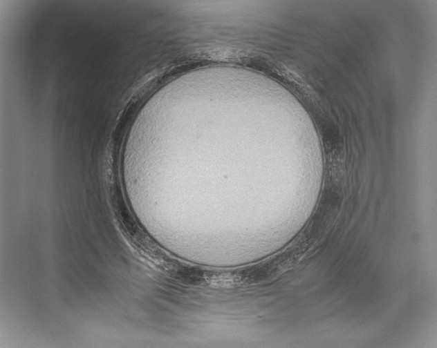 X0000072520587200608111722