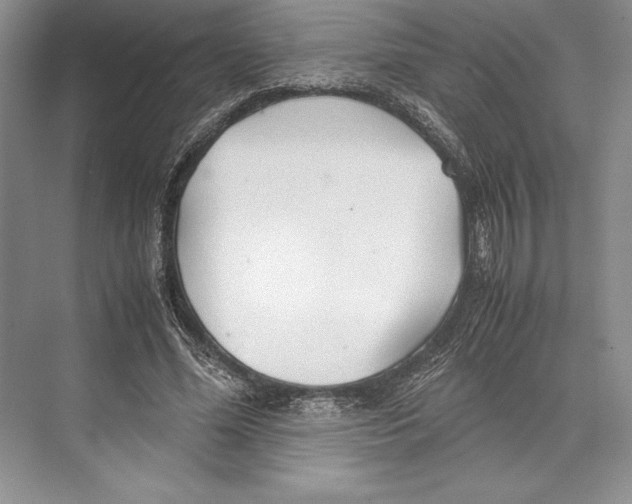 X0000072520588200608111722