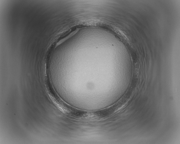 X0000072520589200608111722