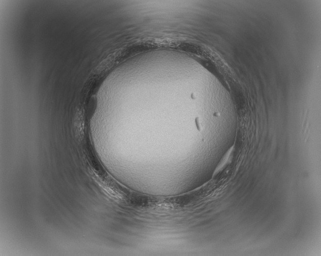 X0000072520593200608111722