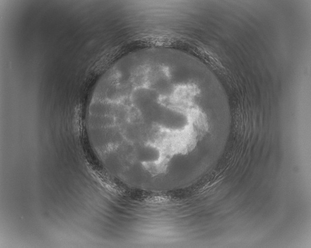 X0000072520594200608111722