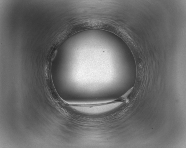 X0000072520597200608111722