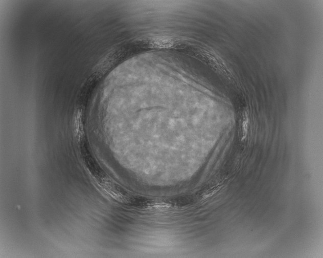 X0000072520598200608111722