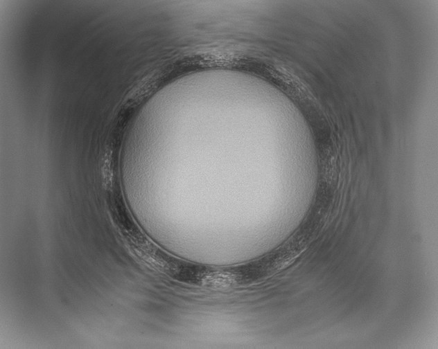 X0000072520599200608111722