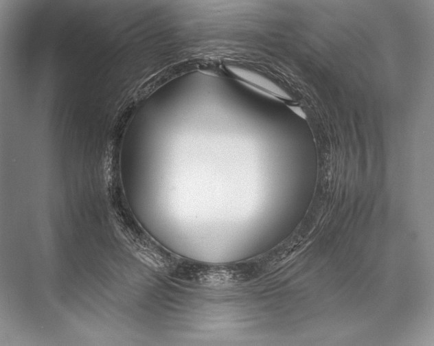 X0000072520600200608111722